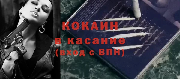 индика Абаза