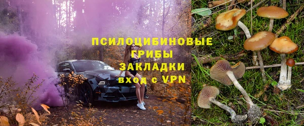 гашик Нягань