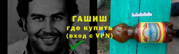 индика Абаза