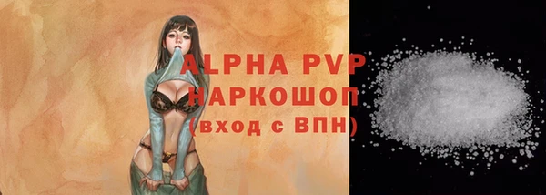индика Абаза