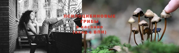мескалин Няндома