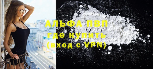 индика Абаза