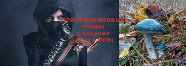 мескалин Няндома