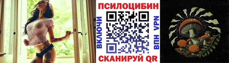 MEGA рабочий сайт  Камызяк  Галлюциногенные грибы Psilocybine cubensis 